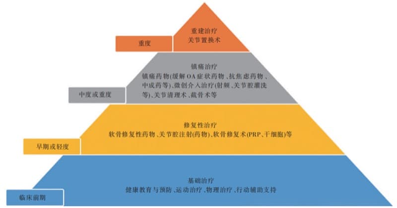 当常规治疗无效时，干细胞治疗膝骨关节炎是第几种选择？——基于《间充质干细胞注射治疗膝关节骨关节炎的临床专家共识（2026）》的科普解读