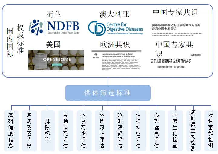 肠好，肝才好：得了脂肪肝需要了解的肠道微生态疗法